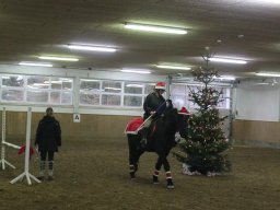IMG_2972_web